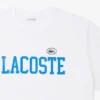 Baumwoll-Jersey-T-Shirt – Übergrößen – Groß Baumwoll-Jersey-T-Shirt – Übergrößen – Groß