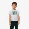 Baumwoll-T-Shirt mit Grafikprint Baumwoll-T-Shirt mit Grafikprint