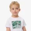 Baumwoll-T-Shirt mit Grafikprint Baumwoll-T-Shirt mit Grafikprint