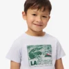 Baumwoll-T-Shirt mit Grafikprint Baumwoll-T-Shirt mit Grafikprint