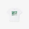 Baumwoll-T-Shirt mit Grafikprint Baumwoll-T-Shirt mit Grafikprint