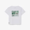 Baumwoll-T-Shirt mit Grafikprint Baumwoll-T-Shirt mit Grafikprint