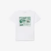 Baumwoll-T-Shirt mit Grafikprint Baumwoll-T-Shirt mit Grafikprint