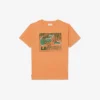 Baumwoll-T-Shirt mit Grafikprint Baumwoll-T-Shirt mit Grafikprint
