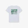 Baumwoll-T-Shirt mit Grafikprint Baumwoll-T-Shirt mit Grafikprint