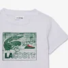 Baumwoll-T-Shirt mit Grafikprint Baumwoll-T-Shirt mit Grafikprint
