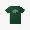 Bedrucktes Baumwoll-T-Shirt Bedrucktes Baumwoll-T-Shirt