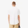 Herren-Baumwollhemd mit kurzen Ärmeln in Regular Fit Herren-Baumwollhemd mit kurzen Ärmeln in Regular Fit