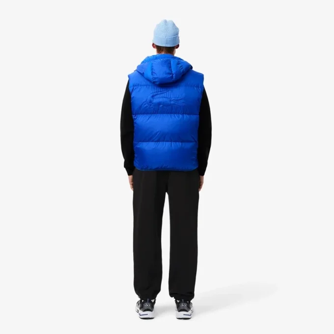 Herren-Jogginghose in Regular Fit Herren-Jogginghose in Regular Fit