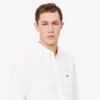 Herren-Oxfordhemd in Regular Fit Herren-Oxfordhemd in Regular Fit