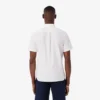 Herren-Oxfordhemd mit kurzen Ärmeln in Regular Fit Herren-Oxfordhemd mit kurzen Ärmeln in Regular Fit