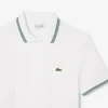 Herren-Poloshirt „Regular Fit Trim Accent L.12.12“