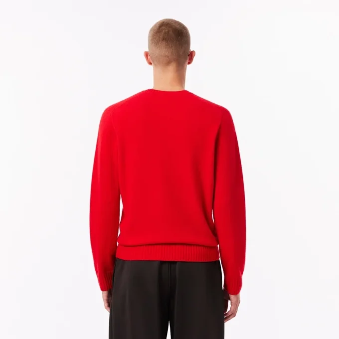 Herren-Pullover aus 3D-Strick mit Rundhalsausschnitt Herren-Pullover aus 3D-Strick mit Rundhalsausschnitt