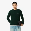 Herren-Pullover aus Baumwolle mit Rundhalsausschnitt Herren-Pullover aus Baumwolle mit Rundhalsausschnitt