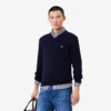 Herren-Pullover aus Baumwolle mit V-Ausschnitt Herren-Pullover aus Baumwolle mit V-Ausschnitt