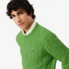 Herren-Pullover aus Baumwolle mit Zopfmuster Herren-Pullover aus Baumwolle mit Zopfmuster