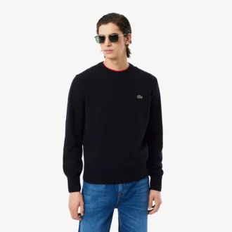 Herren-Pullover aus Wolle mit Rundhalsausschnitt