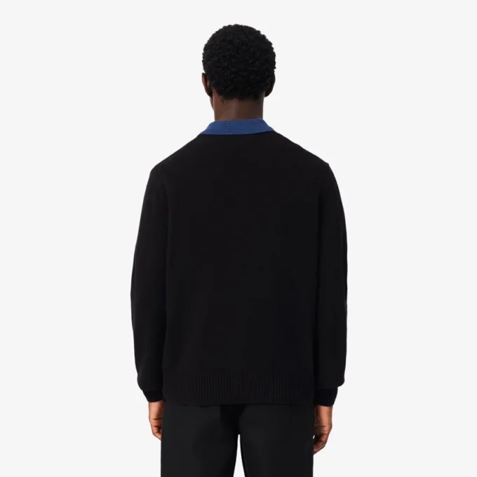 Herren-Pullover aus Wolle mit Rundhalsausschnitt Herren-Pullover aus Wolle mit Rundhalsausschnitt