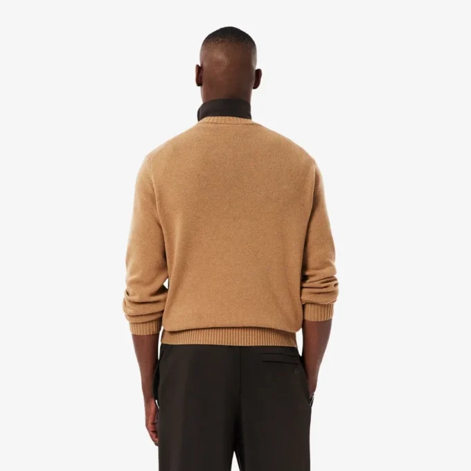 Herren-Pullover aus Wolle mit Rundhalsausschnitt Herren-Pullover aus Wolle mit Rundhalsausschnitt