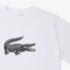 Herren-Sport-T-Shirt aus Baumwolle mit Print in Tall Fit Herren-Sport-T-Shirt aus Baumwolle mit Print in Tall Fit