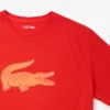Herren-Sport-T-Shirt aus Baumwolle mit Print in Tall Fit Herren-Sport-T-Shirt aus Baumwolle mit Print in Tall Fit