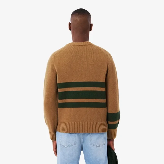 Herren-Strickpullover aus Wolle mit V-Ausschnitt Herren-Strickpullover aus Wolle mit V-Ausschnitt