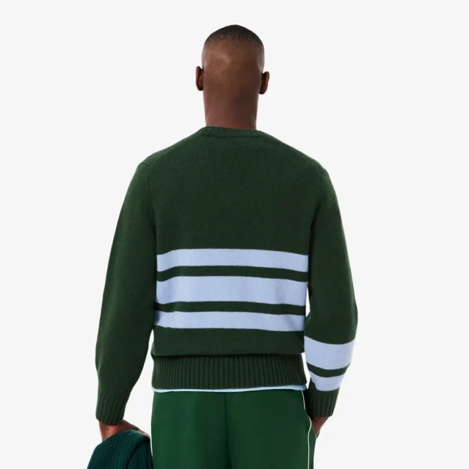 Herren-Strickpullover aus Wolle mit V-Ausschnitt Herren-Strickpullover aus Wolle mit V-Ausschnitt