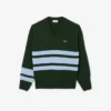 Herren-Strickpullover aus Wolle mit V-Ausschnitt Herren-Strickpullover aus Wolle mit V-Ausschnitt