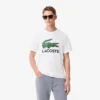 Herren-T-Shirt aus Baumwolle mit charakteristischem Print Herren-T-Shirt aus Baumwolle mit charakteristischem Print