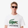 Herren-T-Shirt aus Baumwolle mit charakteristischem Print Herren-T-Shirt aus Baumwolle mit charakteristischem Print