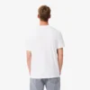Herren-T-Shirt aus Baumwolle mit charakteristischem Print Herren-T-Shirt aus Baumwolle mit charakteristischem Print