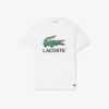 Herren-T-Shirt aus Baumwolle mit charakteristischem Print Herren-T-Shirt aus Baumwolle mit charakteristischem Print