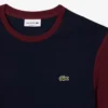 Herren-T-Shirt aus Baumwolle mit Regular Fit und Farbblock-Design Herren-T-Shirt aus Baumwolle mit Regular Fit und Farbblock-Design