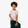 Kinder-Baumwoll-T-Shirt Kinder-Baumwoll-T-Shirt