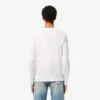 Leichtes Herren-T-Shirt aus Pima-Baumwolle mit V-Ausschnitt Leichtes Herren-T-Shirt aus Pima-Baumwolle mit V-Ausschnitt